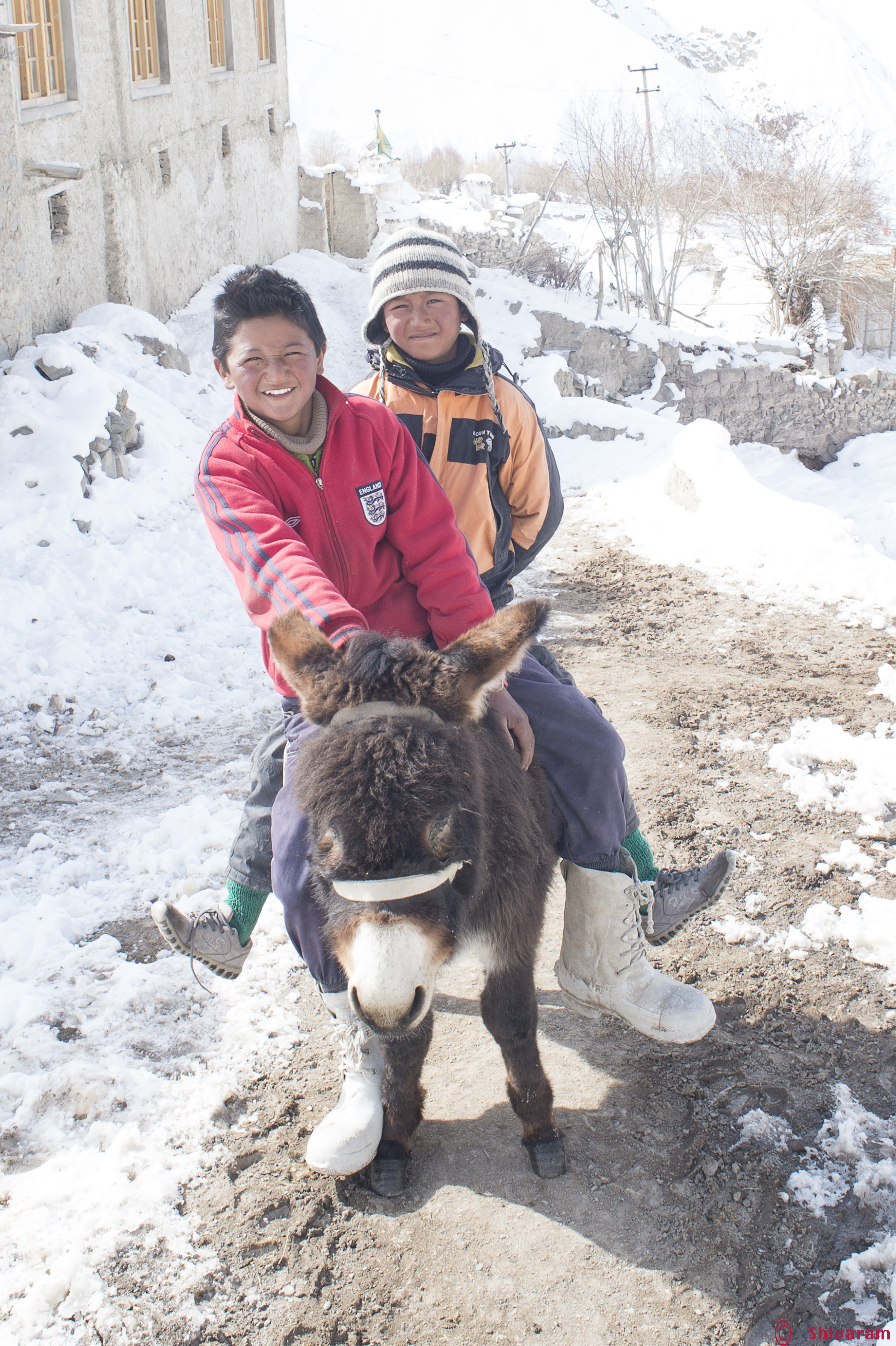 Free Ride to the village