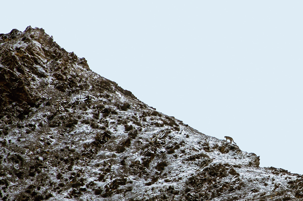 _DSC6210_C