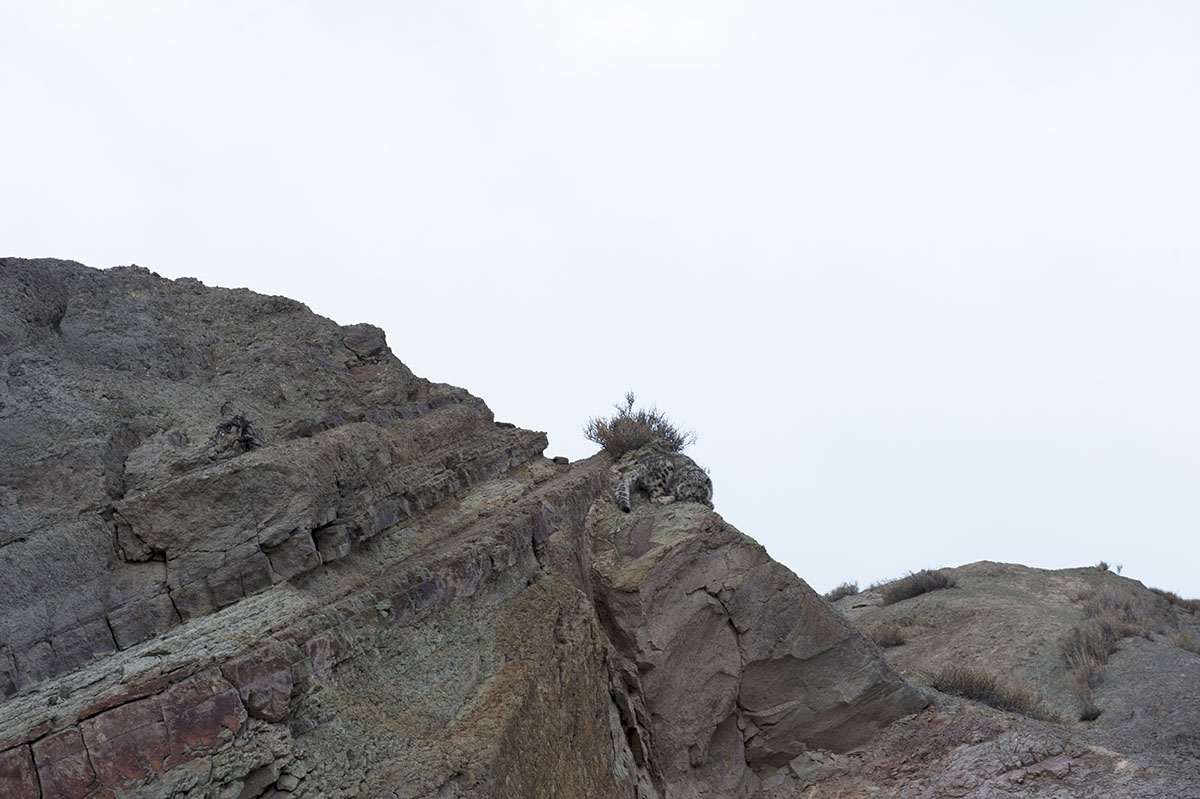 _DSC7045 (1)