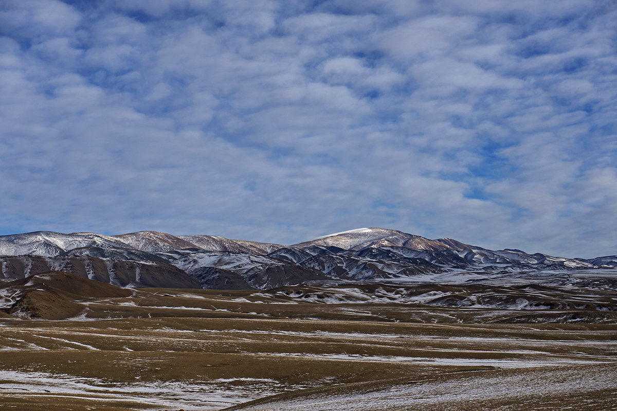 _DSC8601