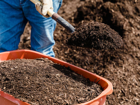 Man shovelling mulch
