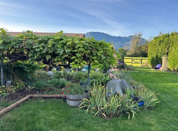 Clean up & Landscaping 21