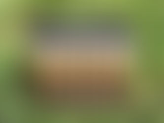 Blood Brothers and Innomalt 