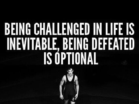 007db149551af454ff598aa946a48a55--wwe-quotes-wrestling-quotes.jpg