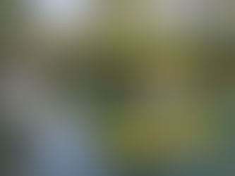 Canoë-kayak : Journée d'initiation et de découvertes !