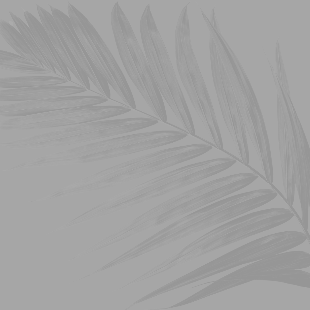 Light gray palm background .png
