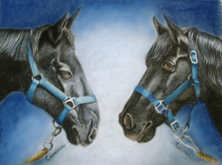 Horses and Other Animals