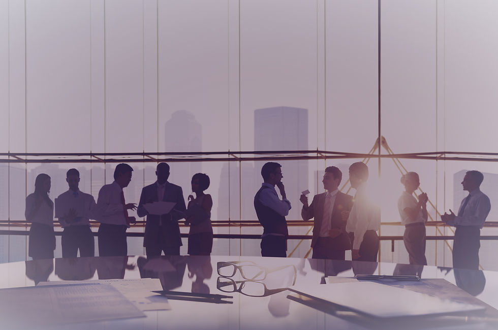 Networking Event_edited.jpg