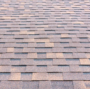 Shingle-Roof-03.jpeg