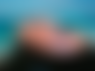 SUMMER OF '22: PHOTOSHOOT INSPO