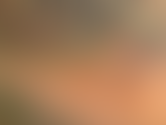 Creative DNA, Personality, and Professionalism: The Trinity of Modern Creativity