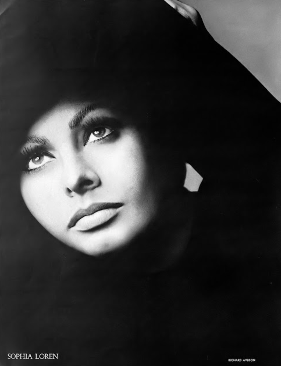 Sophia Loren by Richard Avedon