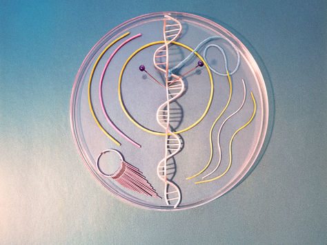 BTS: Interwoven Realities: A Journey Through Abstract Biological Interplay