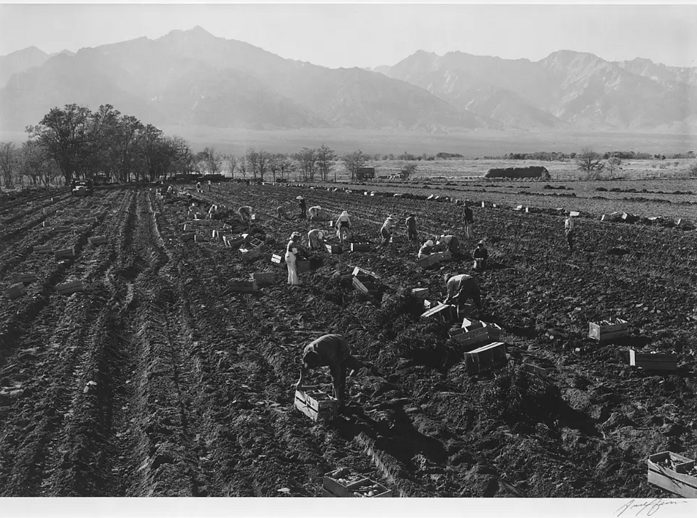 Ansel adams sierra nevada mountains 1943 Japanese community film photography