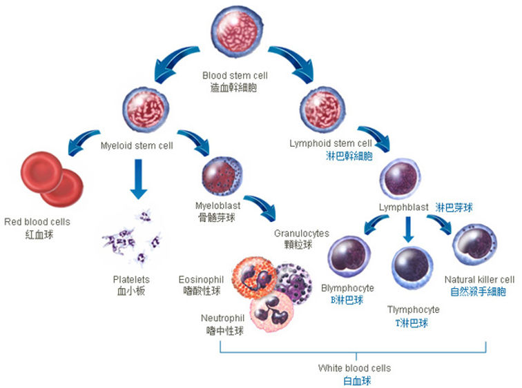 Medical-Technology_pic1.jpg