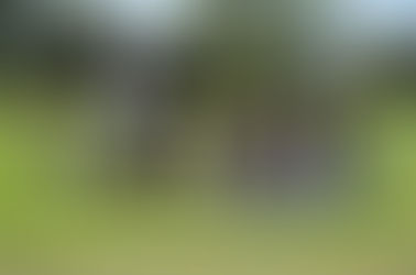 Coast Baseball 12u Game Recap