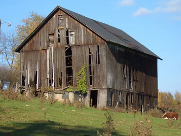 Barn wood