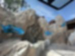 SeaWorld Abu Dhabi - Aspen