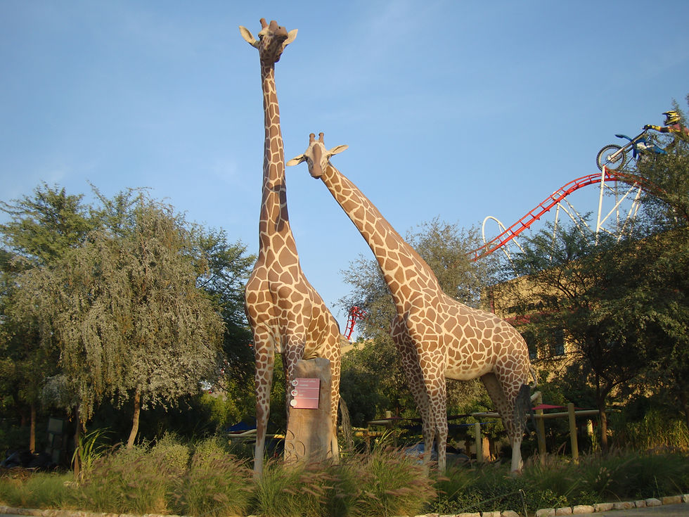 Giraffe