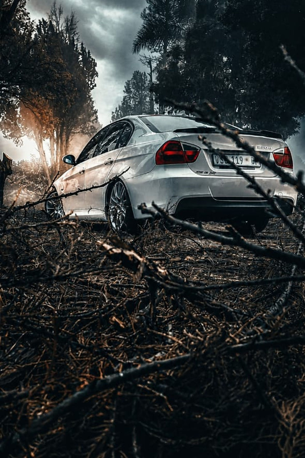 White BMW car parked among lush green trees