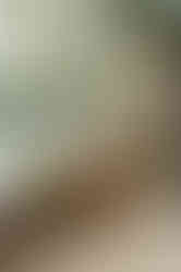 The Curious Table by Bell Brook Farm and Serena Burroughs Photography in Worcester Massachusetts