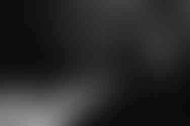 The Curious Table by Bell Brook Farm and Serena Burroughs Photography in Worcester Massachusetts