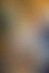 The Curious Table by Bell Brook Farm and Serena Burroughs Photography in Worcester Massachusetts