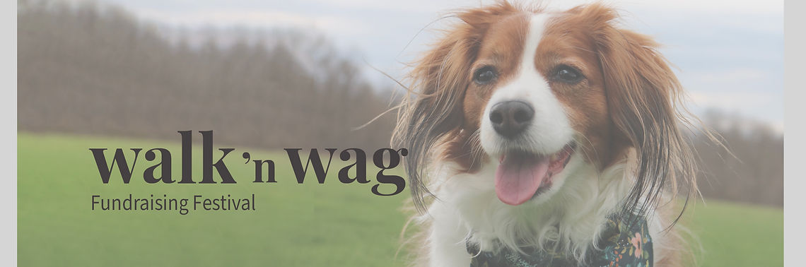 header.jpg