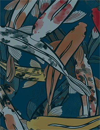 Copy of FishyInvasion2.gif