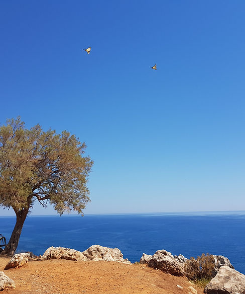 Panoramablick auf Kreta