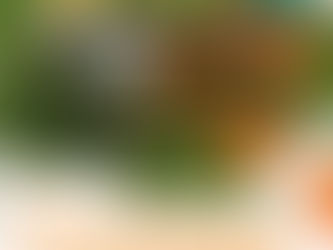 Pique-nique du vivre ensemble