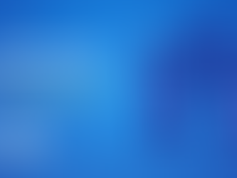 Wealth Management Services