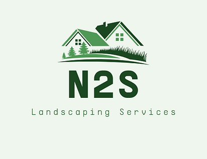 N2S (1).png