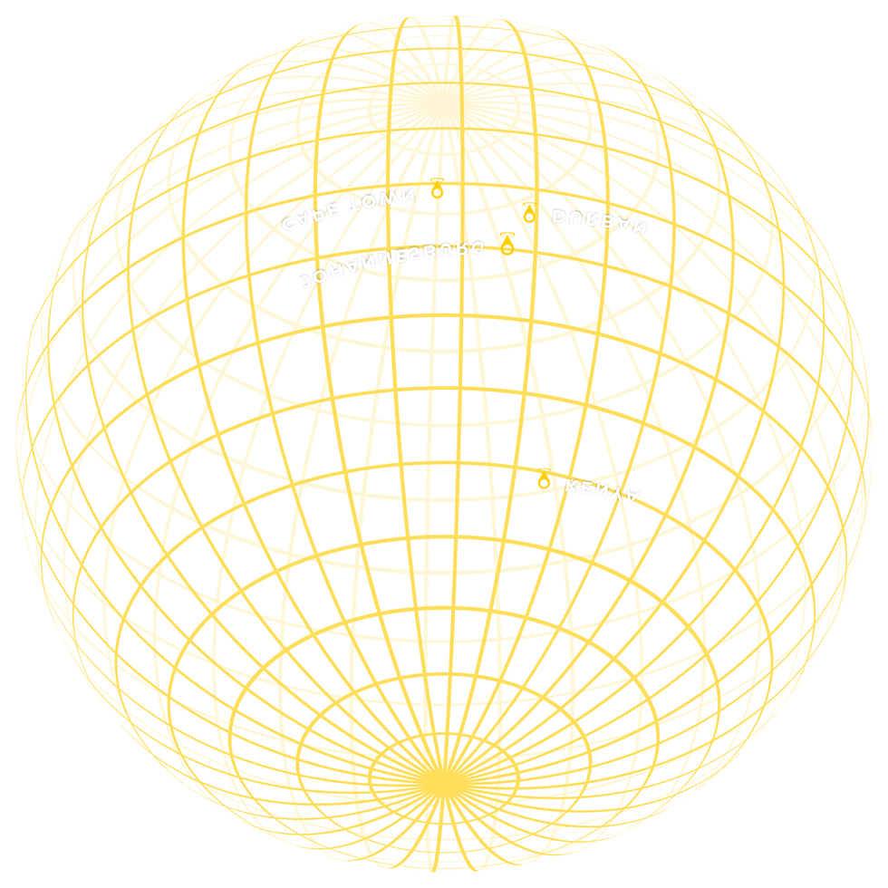 CORRECTED PIN GLOBE NET 1_edited.png