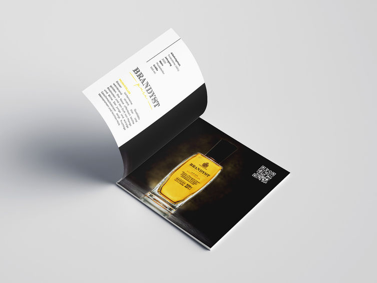 Projekte Brandyst
Branding, Werbelinie
Imagebroschüre