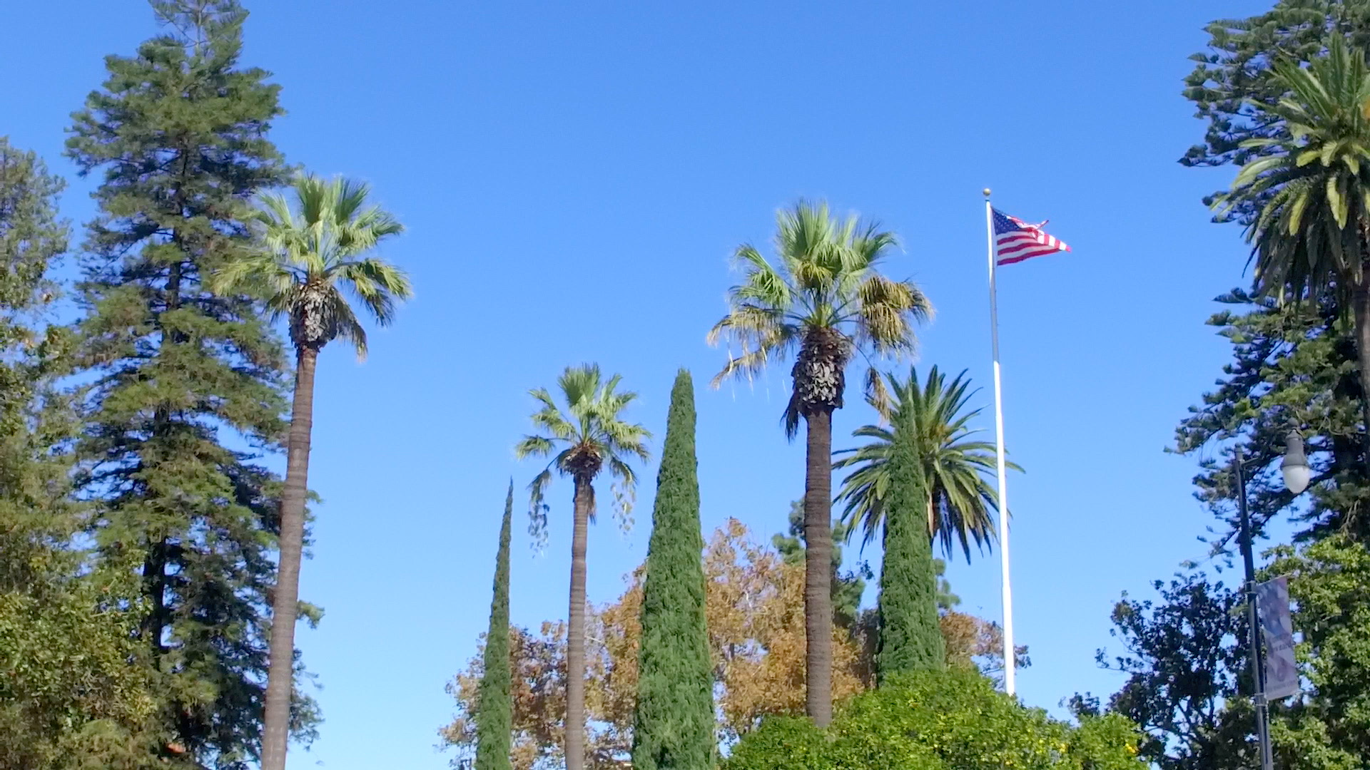 Trees and Flag about Plaza in Old Towne Orange