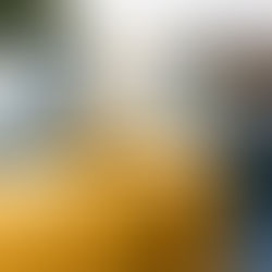 Hürdalring vil engasjere ungdom og bygge et sunt bilmiljø