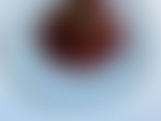 Sticky Chicken with Asian Slaw