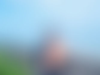 マナティーに恋して、ジュゴンの海へ｜ちきゅう研究所を立ち上げたわけ