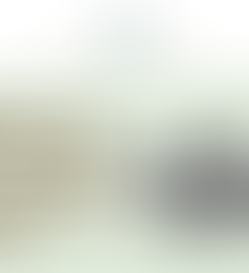 Generational Trauma and Racial Identity: Healing from the Past