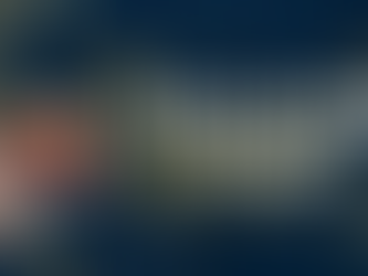 Support The Harbor's Love in Action Toy Drive