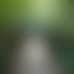 Understanding the NPS Bridge Model for Better Communication