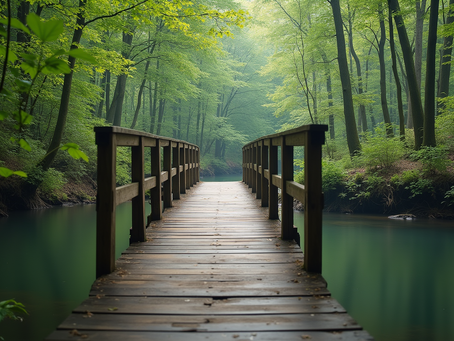Understanding the NPS Bridge Model for Better Communication