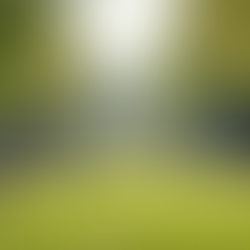 Discover Your NPS Body Type