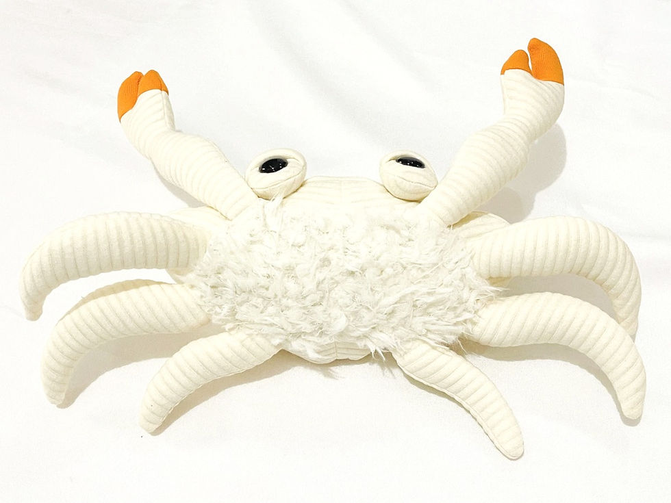 Thumbnail: MR.PINCHY