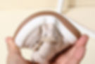 Thumbnail: ESKIMO BOOTS