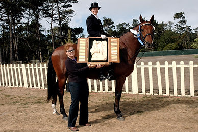 Kari Browne on one of her dressage horses