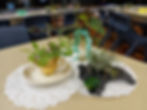 Plant arrangements on tables at FNQ Combined Meetings