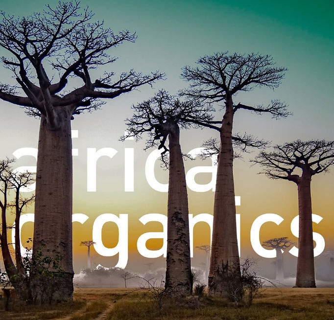 Africa Organics combina ingredientes africanos, cosmética orgánica certificada y formulaciones respetuosas con el microbioma para el cuidado natural de la piel y el cabello.