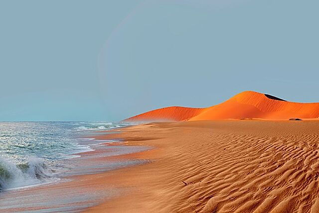 Dunas y vegetación del desierto del Kalahari
